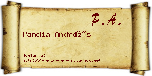 Pandia András névjegykártya